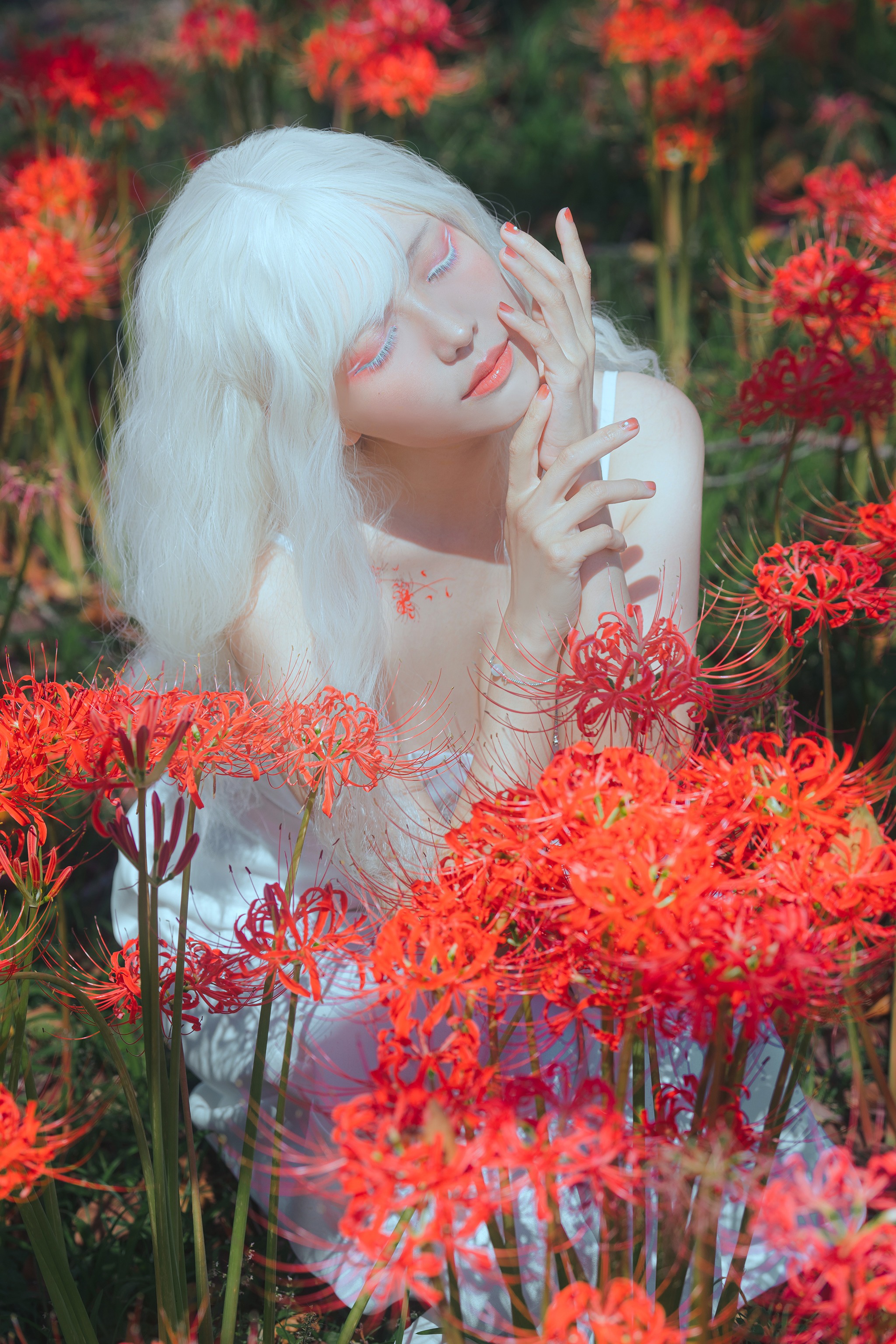 图片[1]-ElyEE子 – NO.153  B-White spider lily 白瓷彼岸 [27P]-XikXak